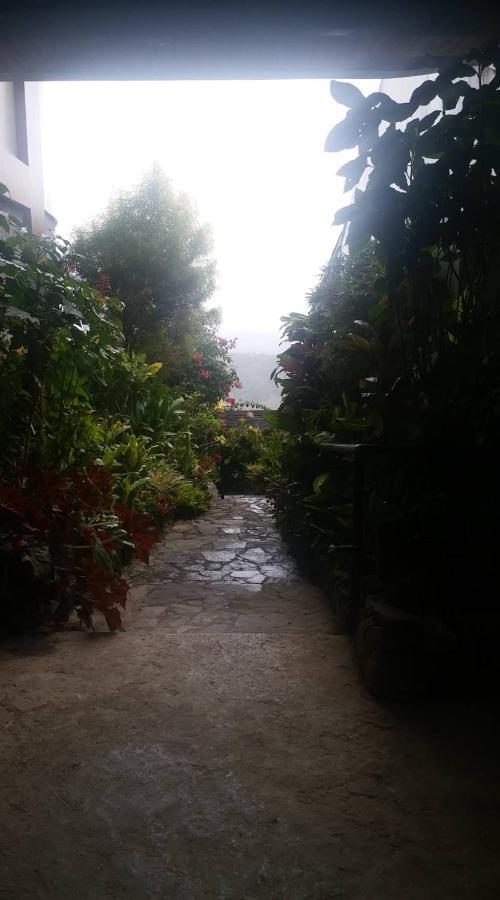 Ddd Heritage Inn Banaue Bagian luar foto